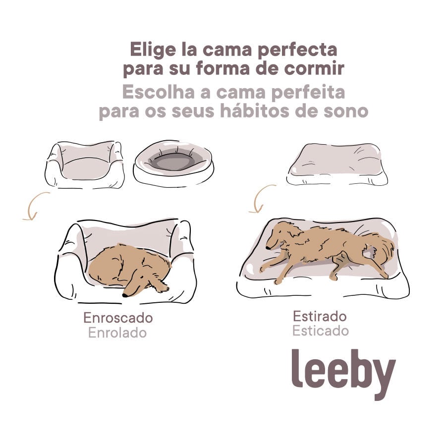 Leeby Cuna Desenfundable Turquesa de Flores para perros, , large Imagen numero 8